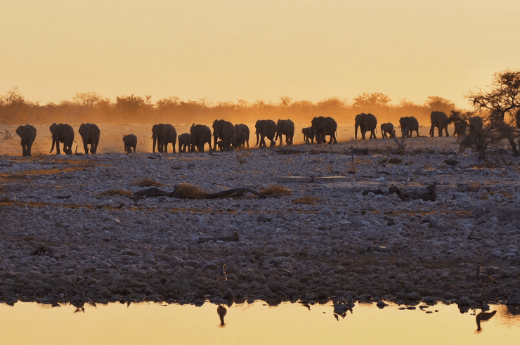 Namibia Group Tour Solo Travellers