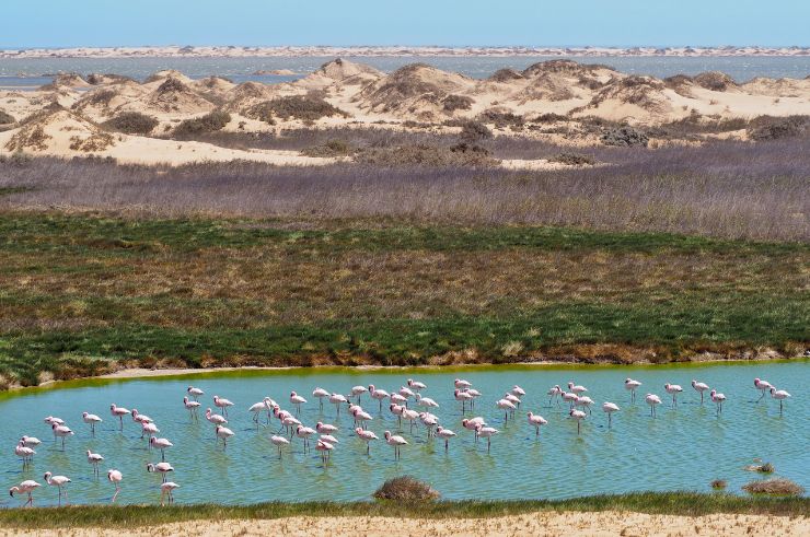 Elim Dune Namibia